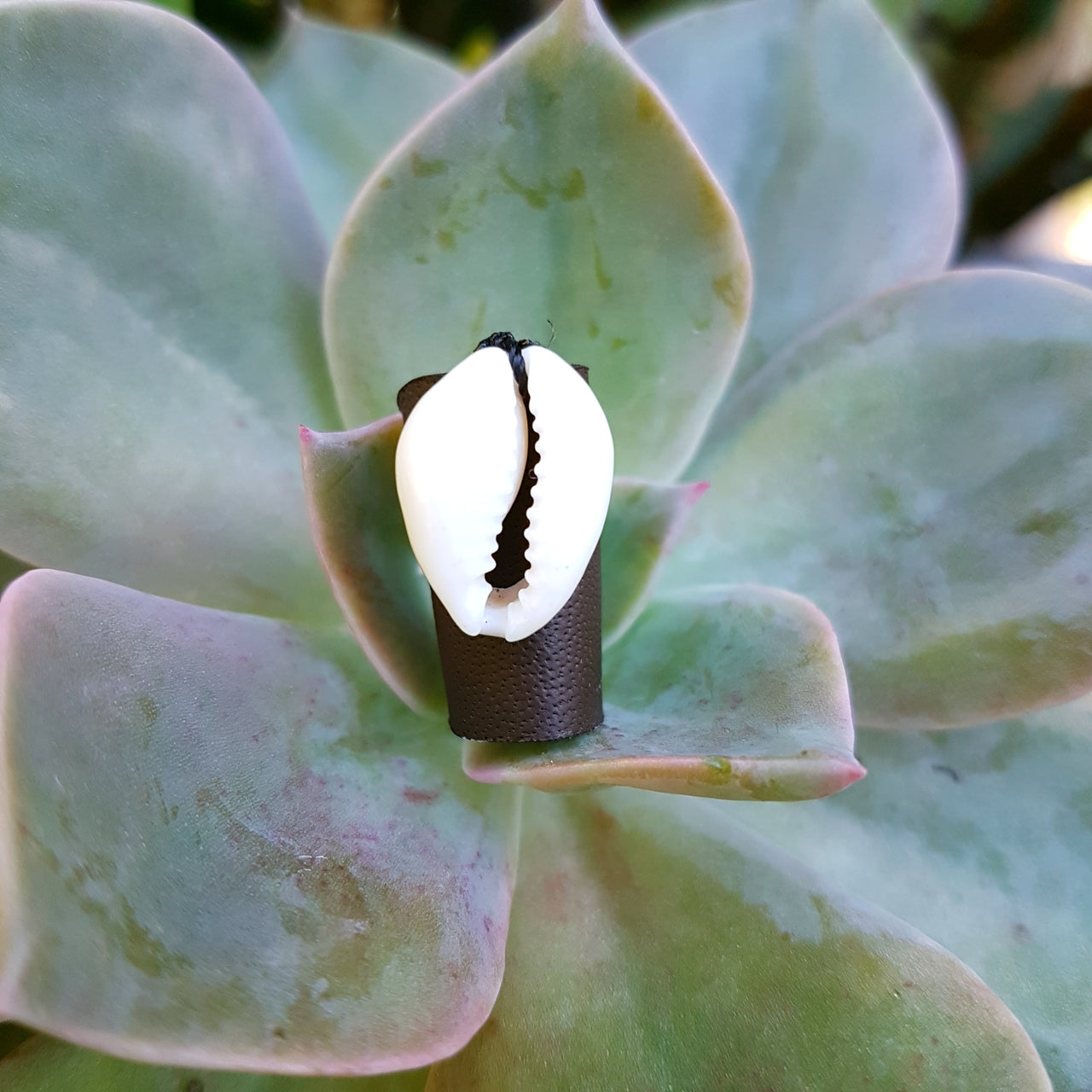 Cowrie Shell Leather Dreadlock Cuff